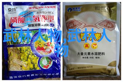 揭秘古代武林身法秘籍的神奇之名与其背后的武功实践