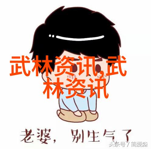 世界上最狠的拳法武术史上的极致精华
