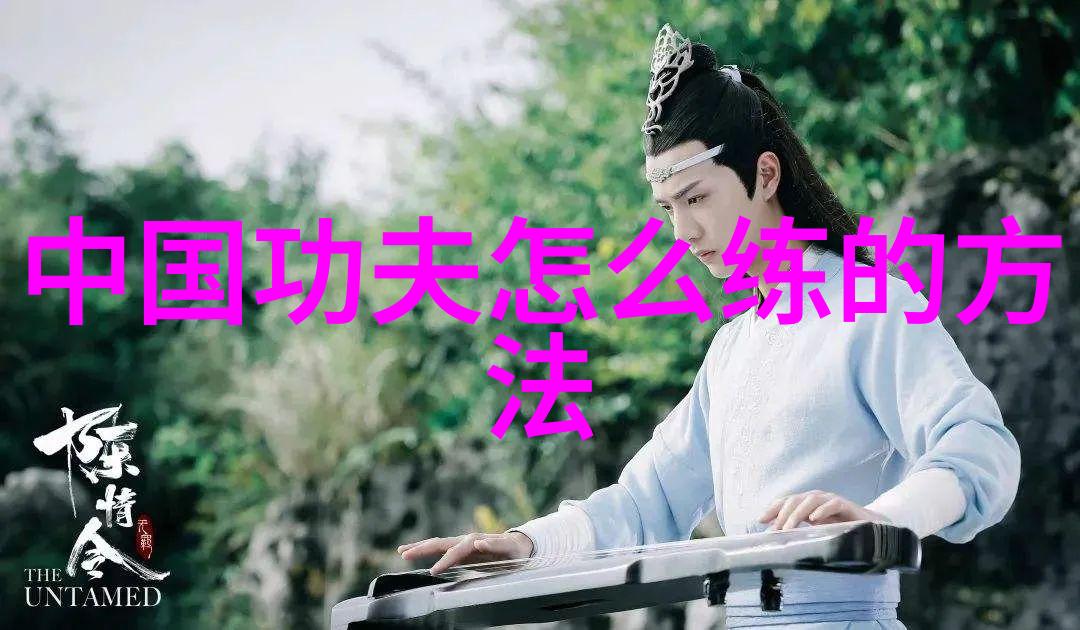 武林秘谱中国30门派的辉煌与沉默