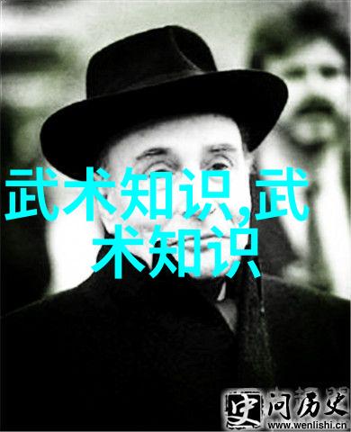 太极拳24式揭秘一路风云