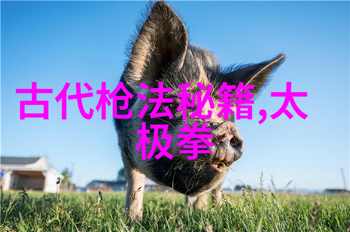 探索小说中好听宗门的文化象征与叙事功能