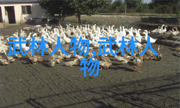 武林人物-江湖隐踪揭秘武林中的神秘人物