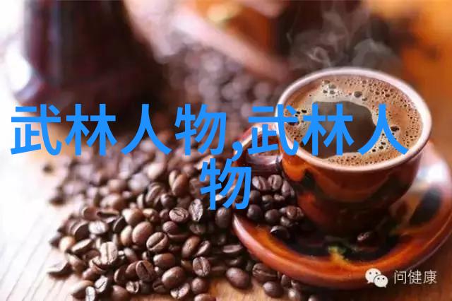 武道秘录中华内家外功大成