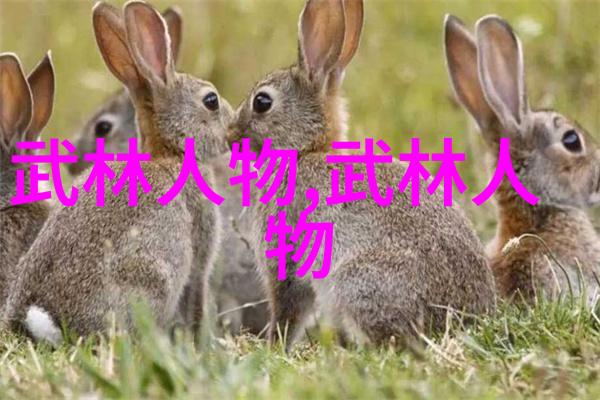 修真功法秘籍9000部古老传承中的武学宝典