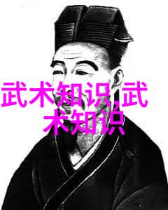 霸气如雷的大名府内家拳之巅峰守护者