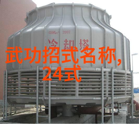 太极风华24式分解之美