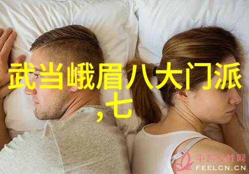 中华武学之光探索中国古代的著名门派