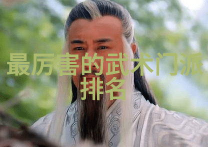 中国功夫拳法精髓武术技巧之源
