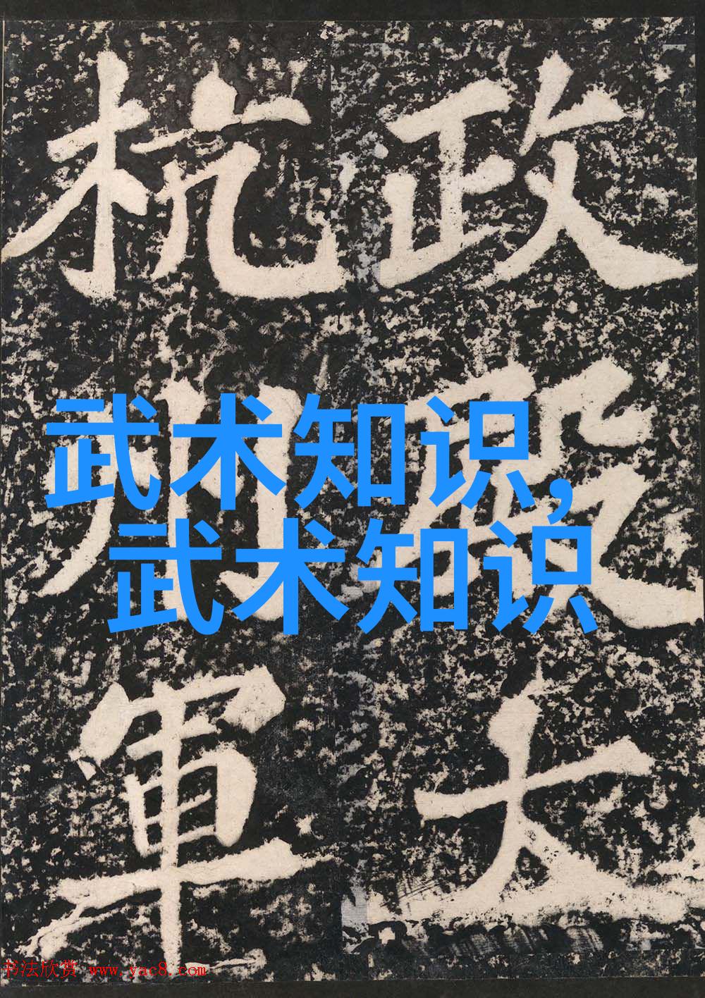 邱慧芳24式太极拳全套教学深入掌握传统武术艺术的精髓