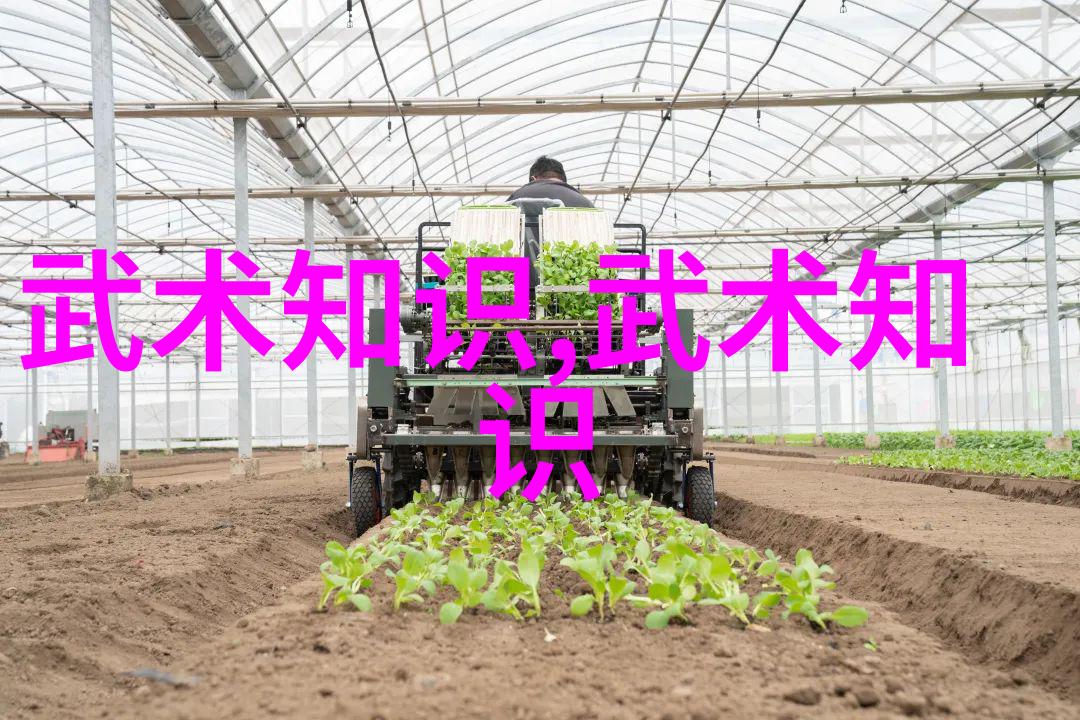 太极拳24式教学体系研究步骤解析与实践探究