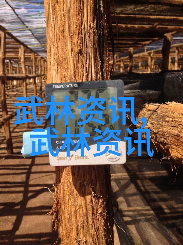 古武功法秘法-重铸江湖揭秘古武世家绝学
