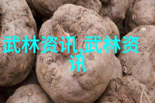 意乙升级附加赛决战卡利亚里对阵巴里足球场围网厂家提供专业支持
