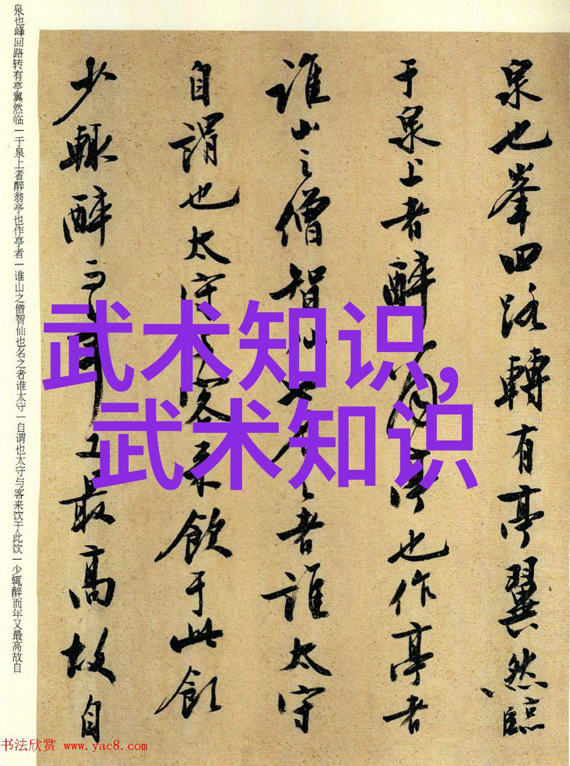 武林门派哪个最厉害-江湖盟主揭秘武林各大门派的巅峰之争