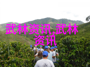霸气仙盟星辉诀谜录