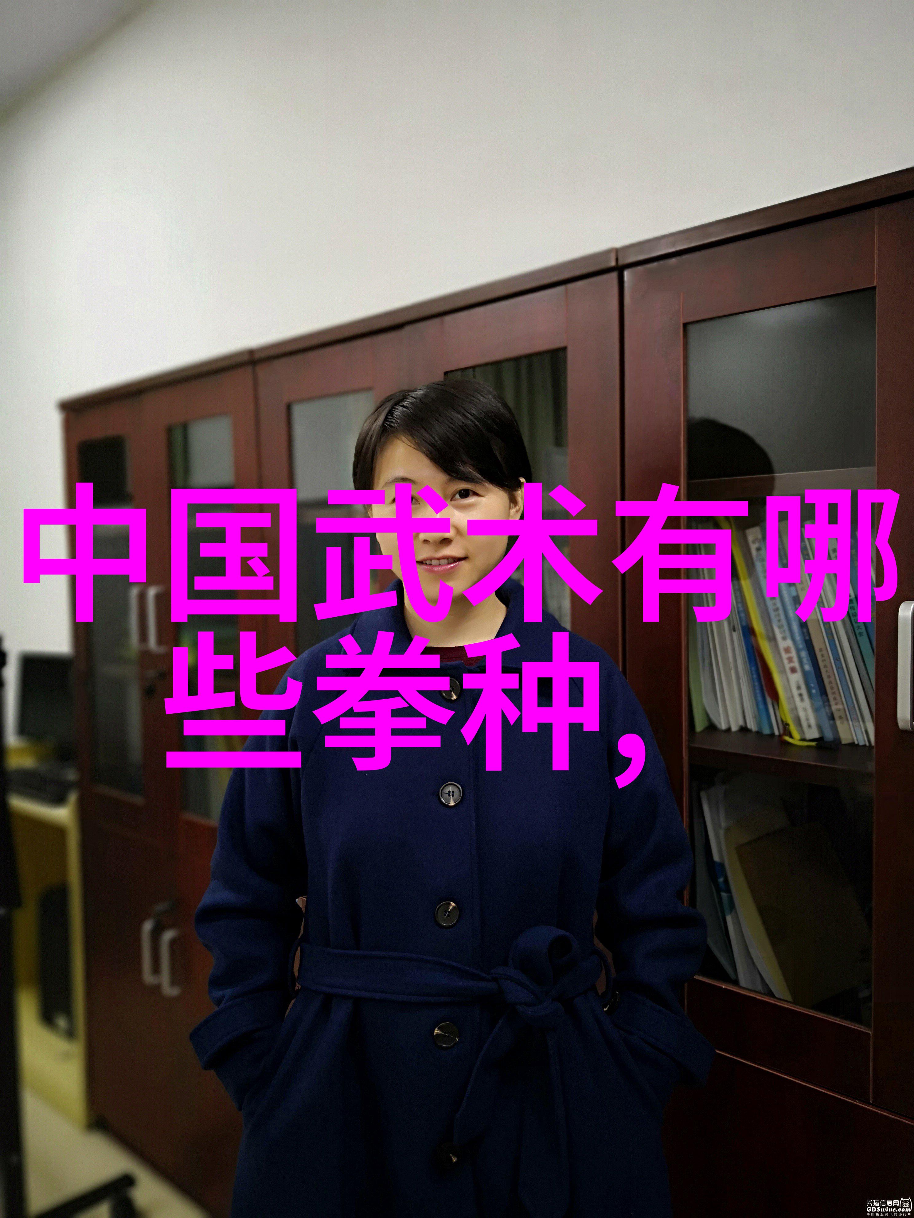 武林秘笈 - 刀光剑影用刀的武林门派之传统与创新