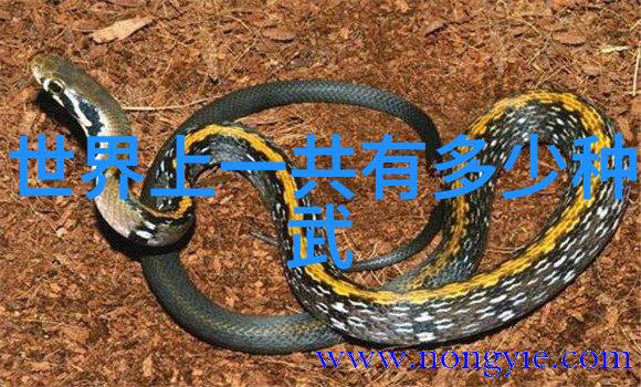 乱码星空探秘一二三区的神秘世界