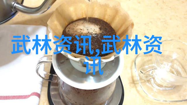武林秘籍揭秘济宁查拳中国武术流派之谜