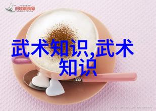 太极拳的灵动之美24式图解深度解析