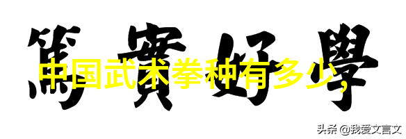 华山派霸气帮派的代名词反复在江湖中响起让人不由自主地想象那强悍的武林之首