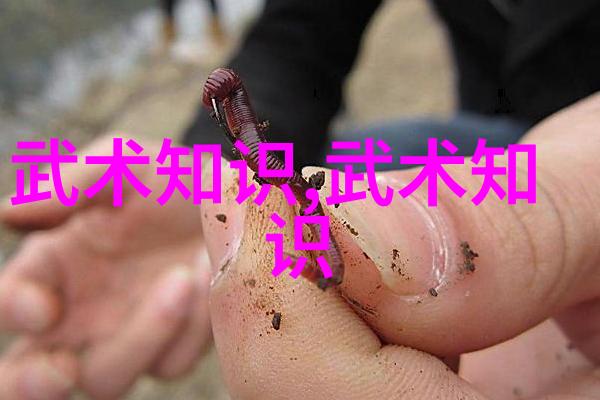 24式太极拳口令全套解析探索古老武术中的内在和谐与外在流畅