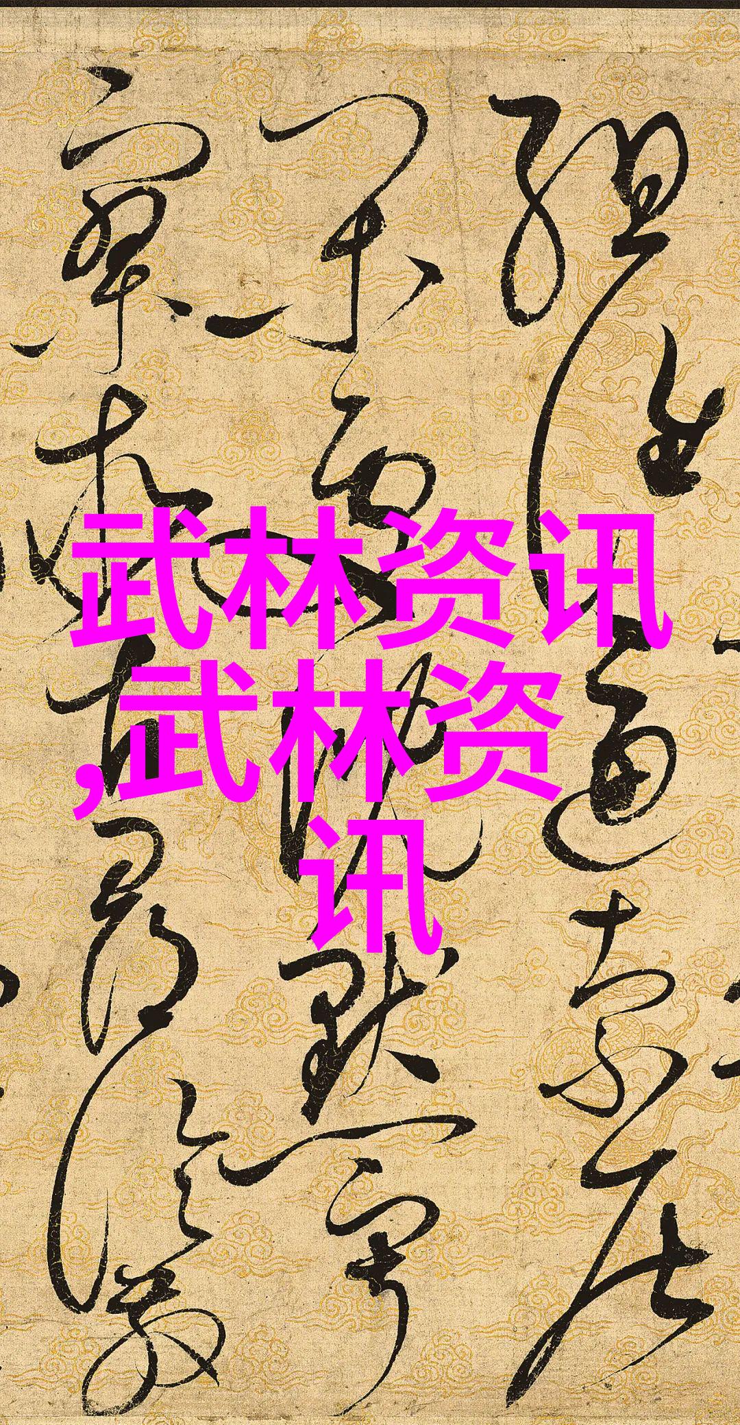 追寻真功夫揭开传说中的高手面纱