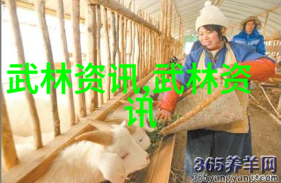 武功自学教学视频你松开它又能合上吗