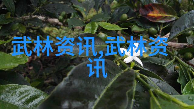 古代武功秘籍口诀-悟道奇经解密古代武学绝技口诀
