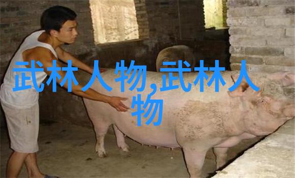 太极拳深造48式全套视频解析程龙飞浅谈太极桩歌诀