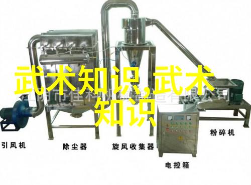 中国意拳门派拳种仿佛一位年迈的武林前辈在中国十大武术排行榜上倨傲地坐镇