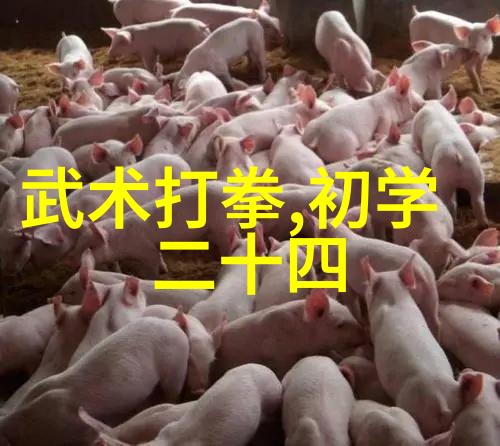 武术刚开始练什么反复练习太极接地气放静电让身体健康