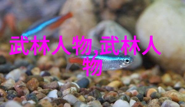 中国武功秘籍的大全书咱们这武林秘笈集大成了