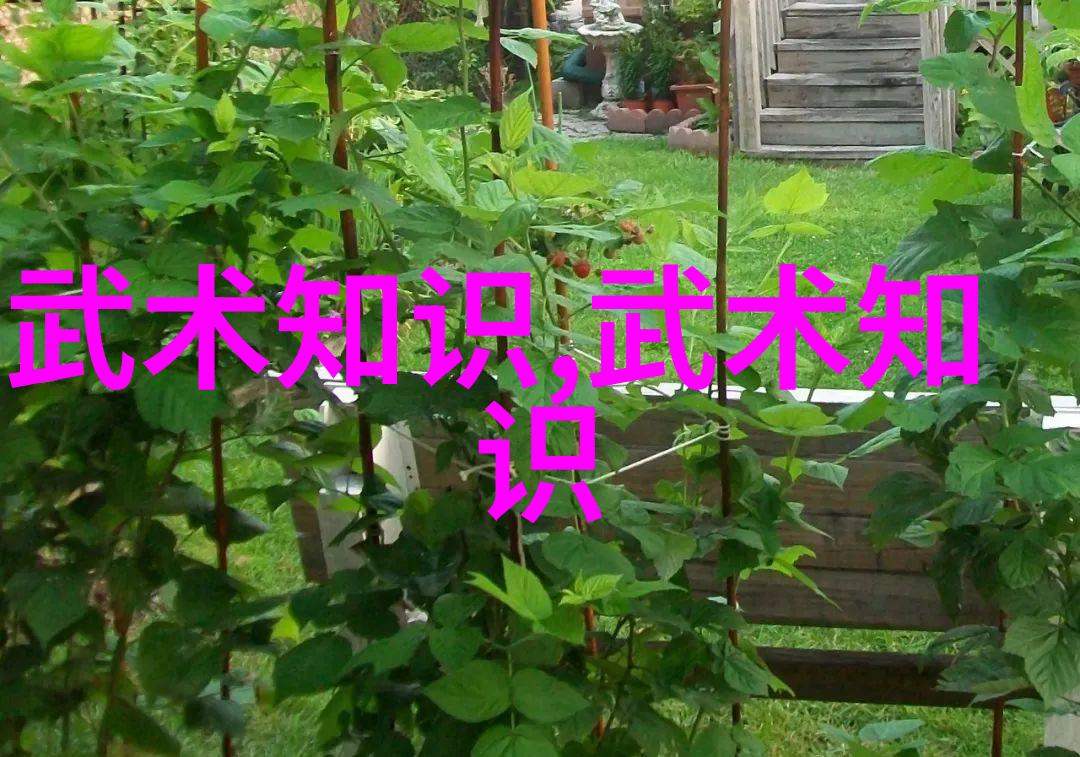汪永泉深造杨氏太极拳绝学禁练10种内功真传功力神准如天书夸张
