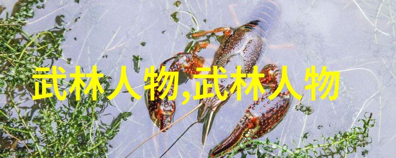 青城派十大秘籍传承者们的智慧与情感
