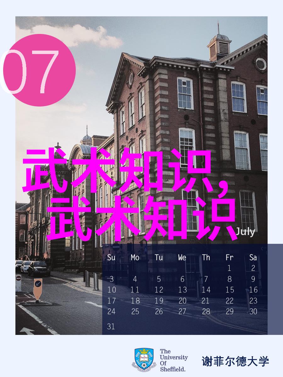 太极24式正面背面探秘内外相合的武学奥秘