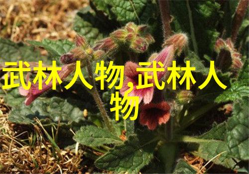 杨式太极拳