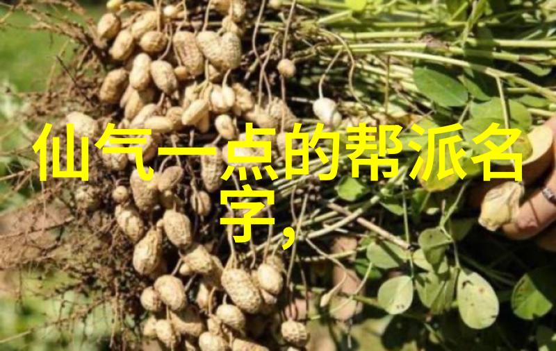 四十式太极拳视频带口令我来教你这套简单易学的四十式太极拳吧