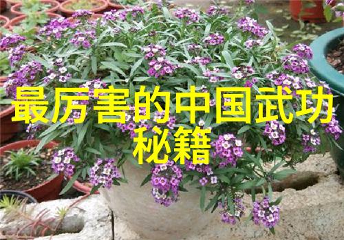 星辰之光帮会守护游戏世界的和谐
