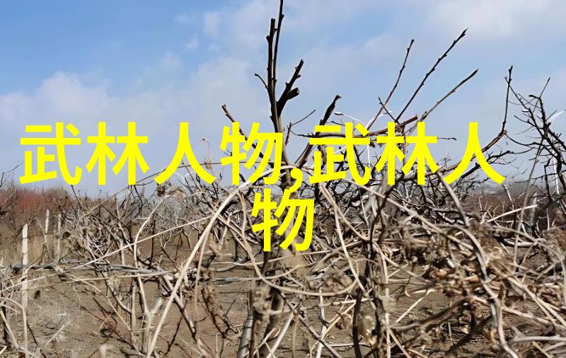 武术基础功法打造坚实的内功根基