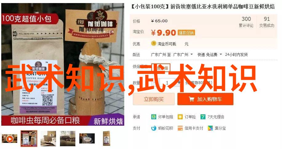 古韵飞扬中国武术流派的奇幻篇章