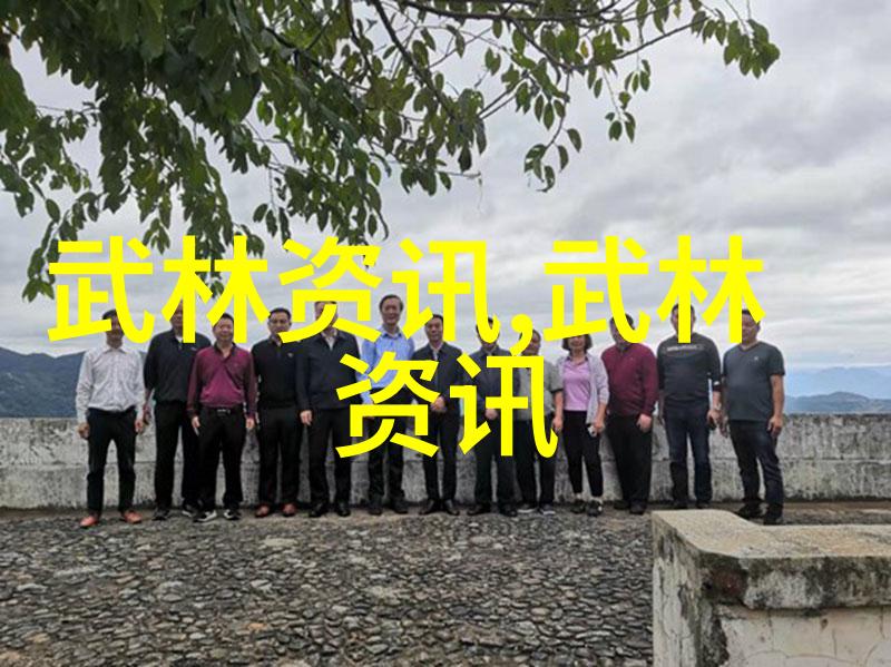 武学秘籍-太极功夫秘籍揭秘内丹与八卦的奥义