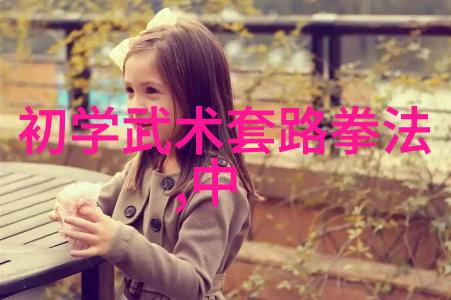 探索十三式太极拳每一式背后的精髓是什么
