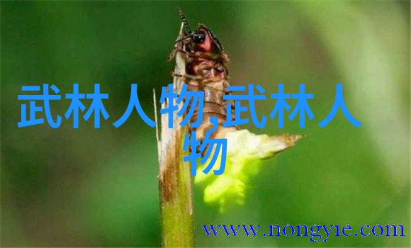 武当十五代传人计数秘籍岳家拳技艺流变录