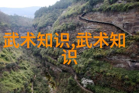 剑桥在心头一位武学者自学武术的故事