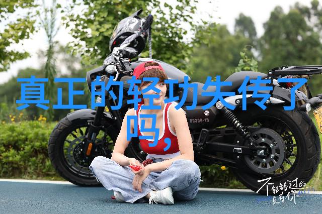 中国拳法的丰富宝库犹如五大湖中最深邃的湖泊真正的杨家太极拳是其中的一座巍峨山峰