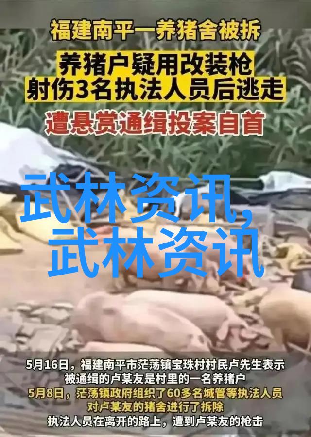 顶级宗门名字四川杨门拳法之巅武林至尊技艺无双