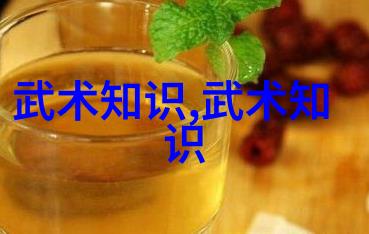 太极拳24式自学图解之旅探索内在修养与外在形态的和谐统一