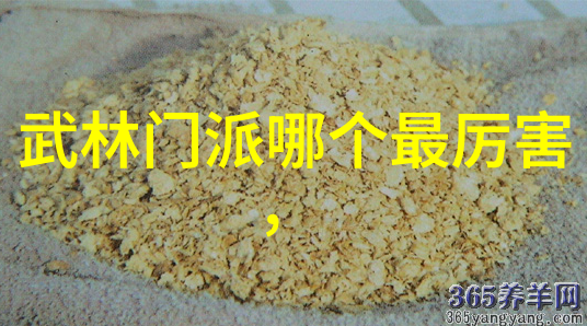 武林四大家唐手詹氏太极杨派空舟与孙氏形意内功