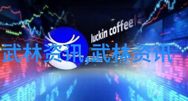 中国武术丰富多样拳法中国武术中的各种流派和技巧