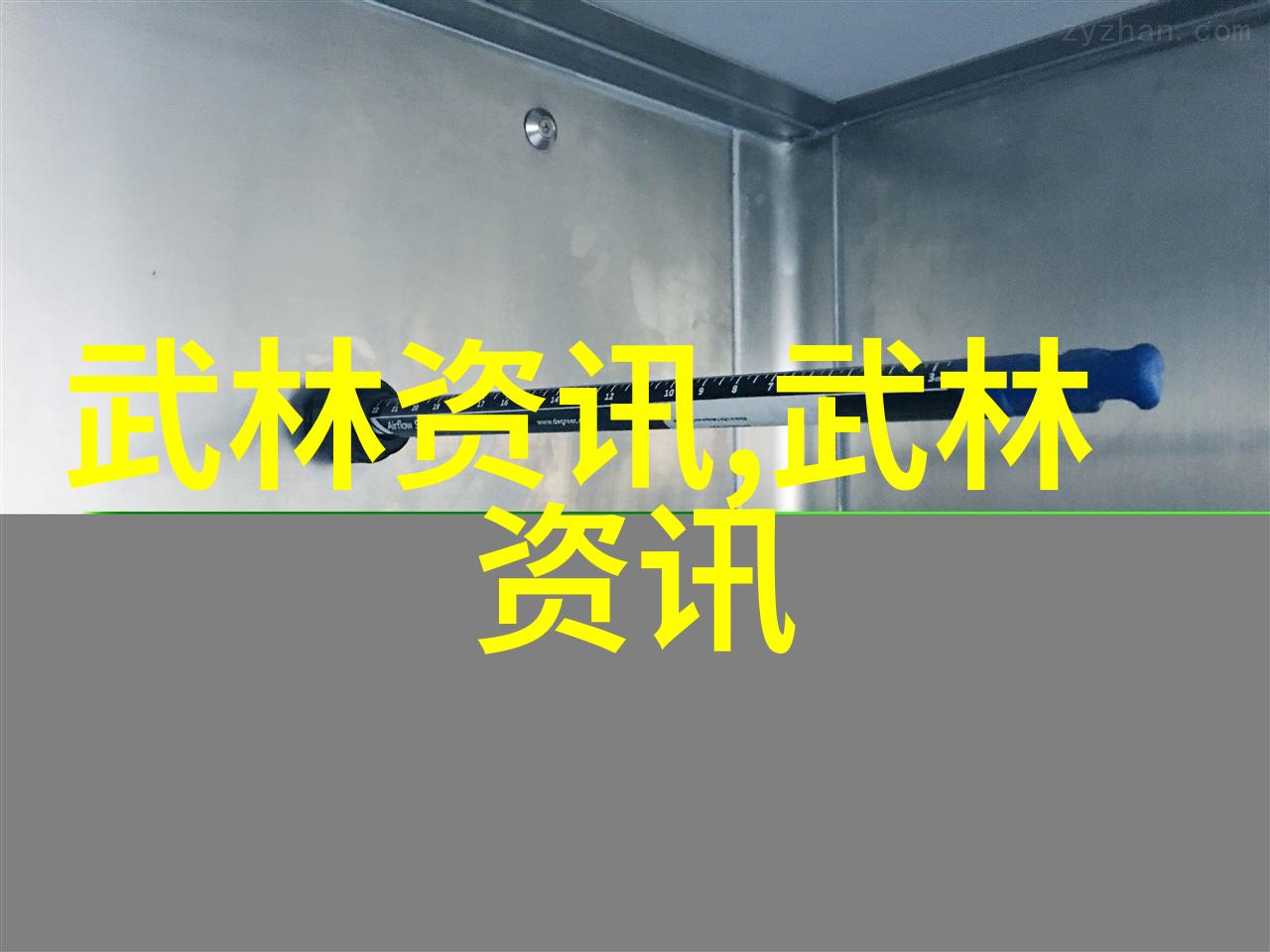 全球十大帮派组织黑手党叶贺会日本山口组意大利共产主义群众墨西哥卡特尔新加坡红花会土耳其埃梅特组织等