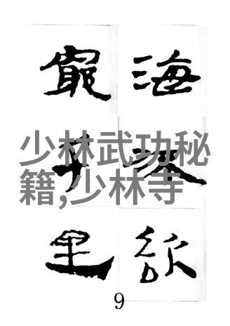 无影脚法的奥秘与实战应用